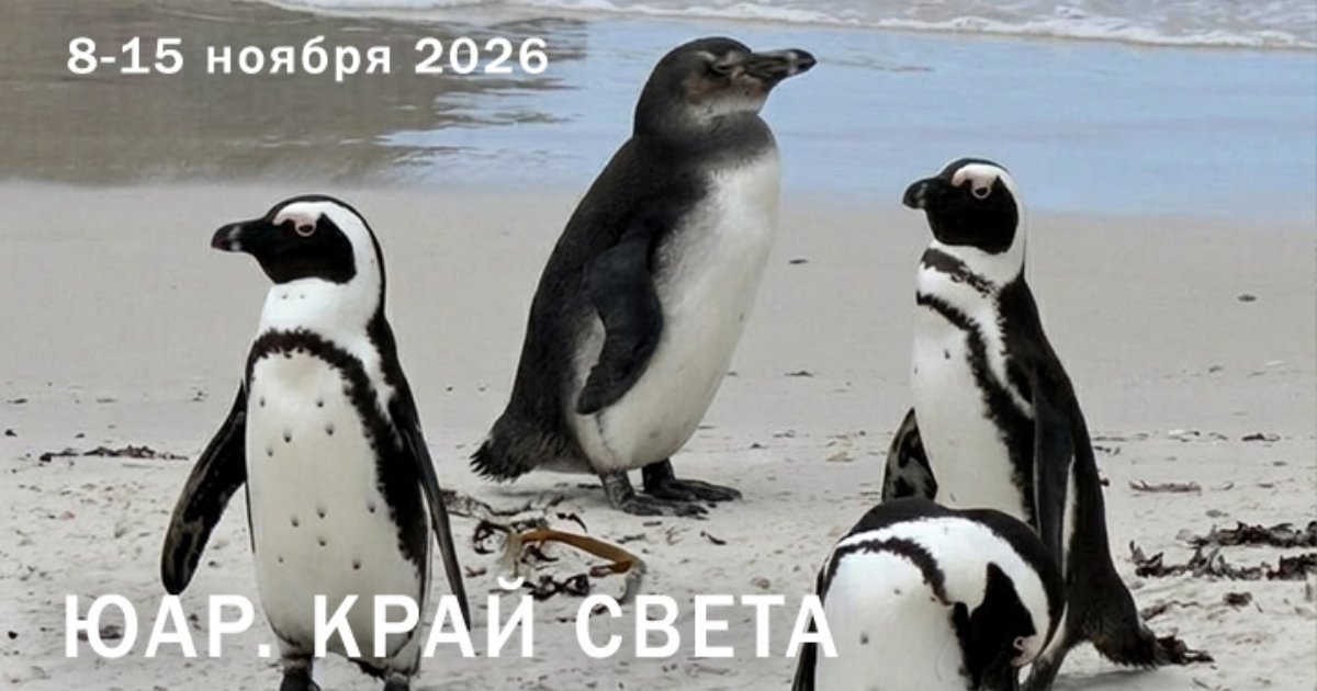 ЮАР — путешествие на край света — фото 2