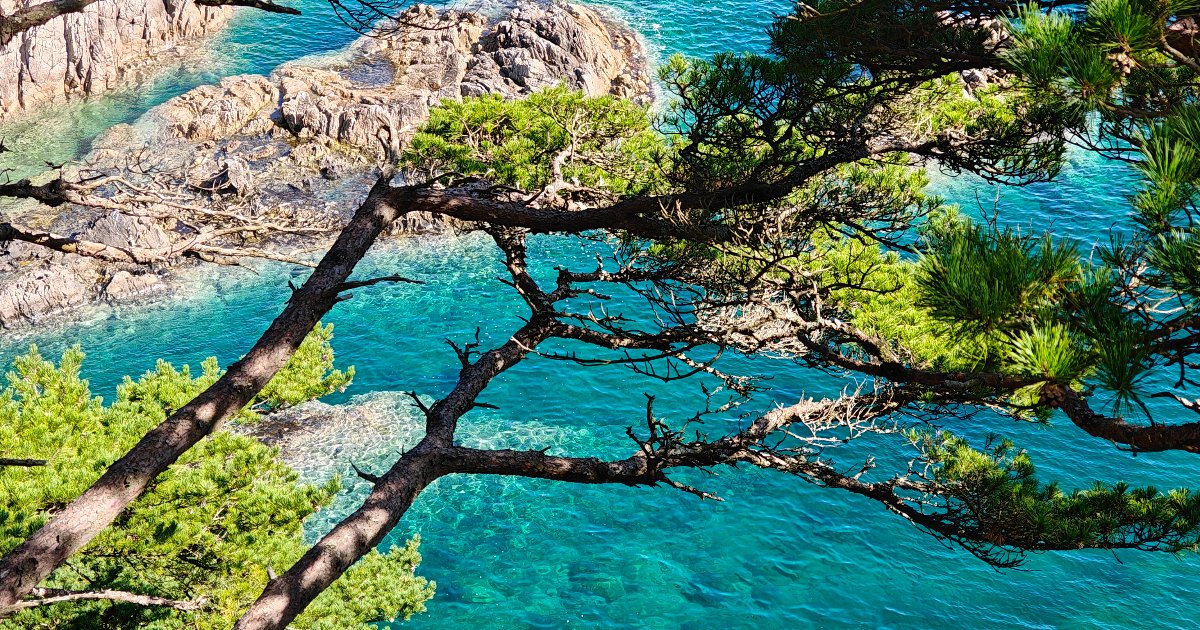 Красота Гамова