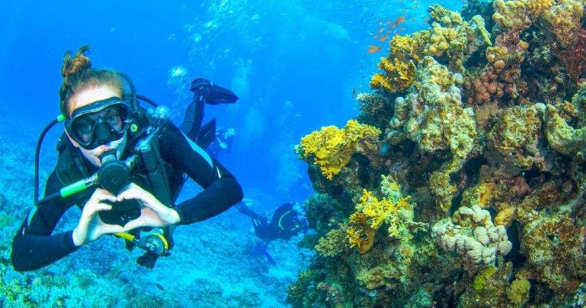 VIP-дайвинг с причала в Sahl Hasheesh (Coral Garden)