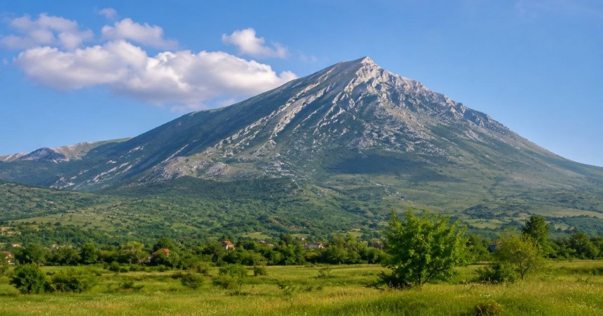 «Морфеус-Лагерь: Обитель Сна»
Сомнологический ретрит