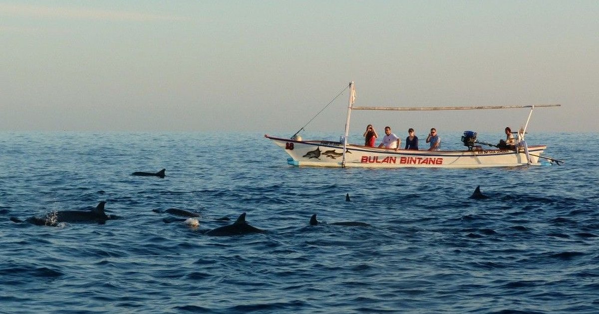 Дельфины и храм на воде: один из самых красивых дней на Бали