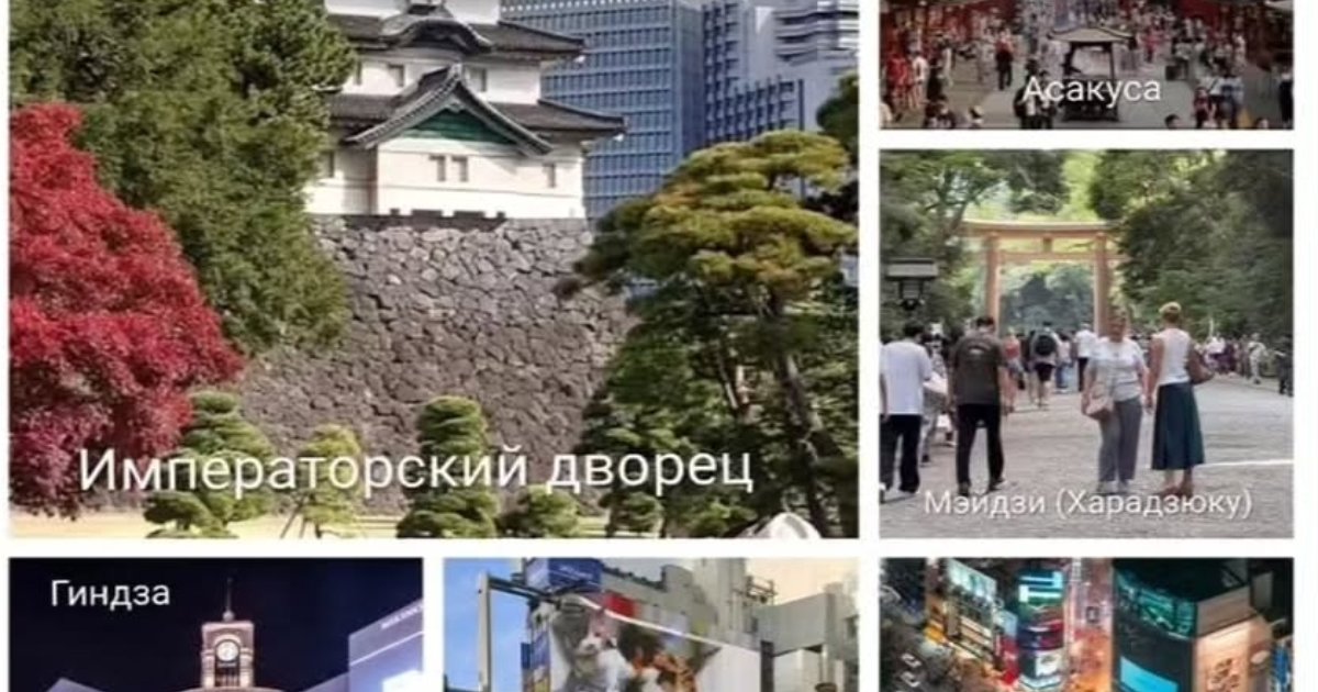 Обзорная экскурсия по Токио