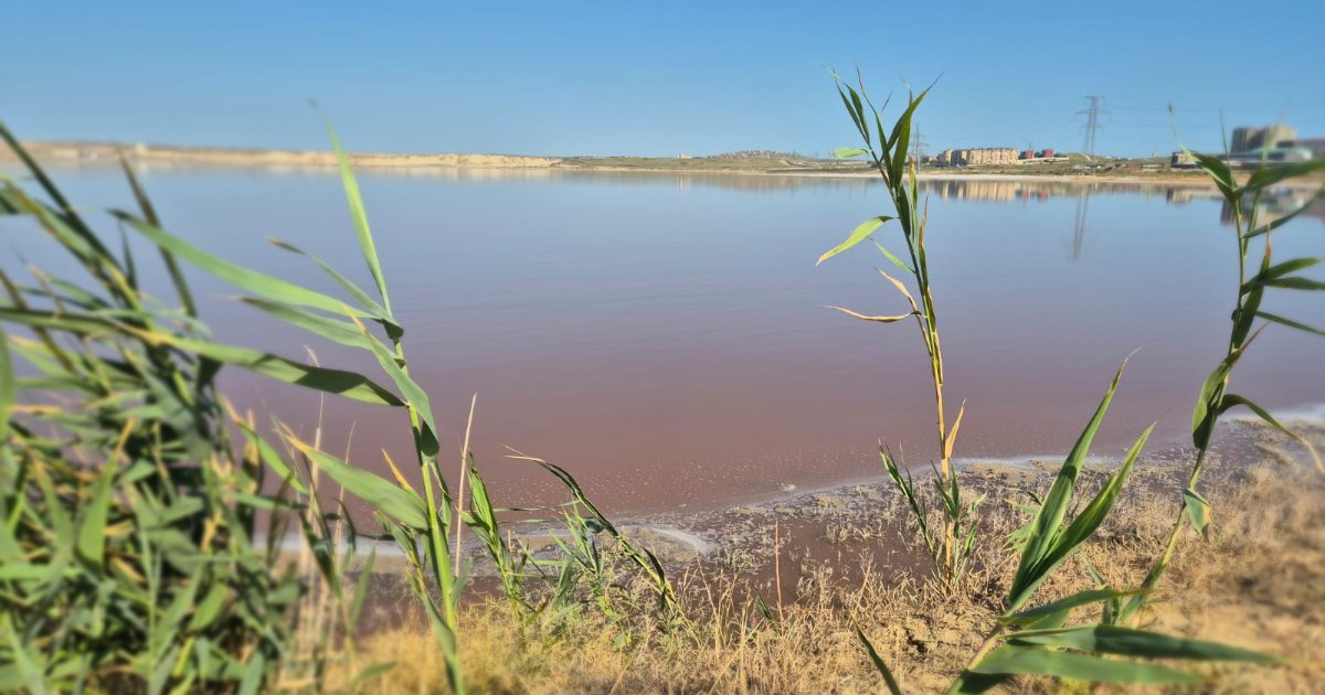 Pink Lake & Candy Cane Mountains Tour