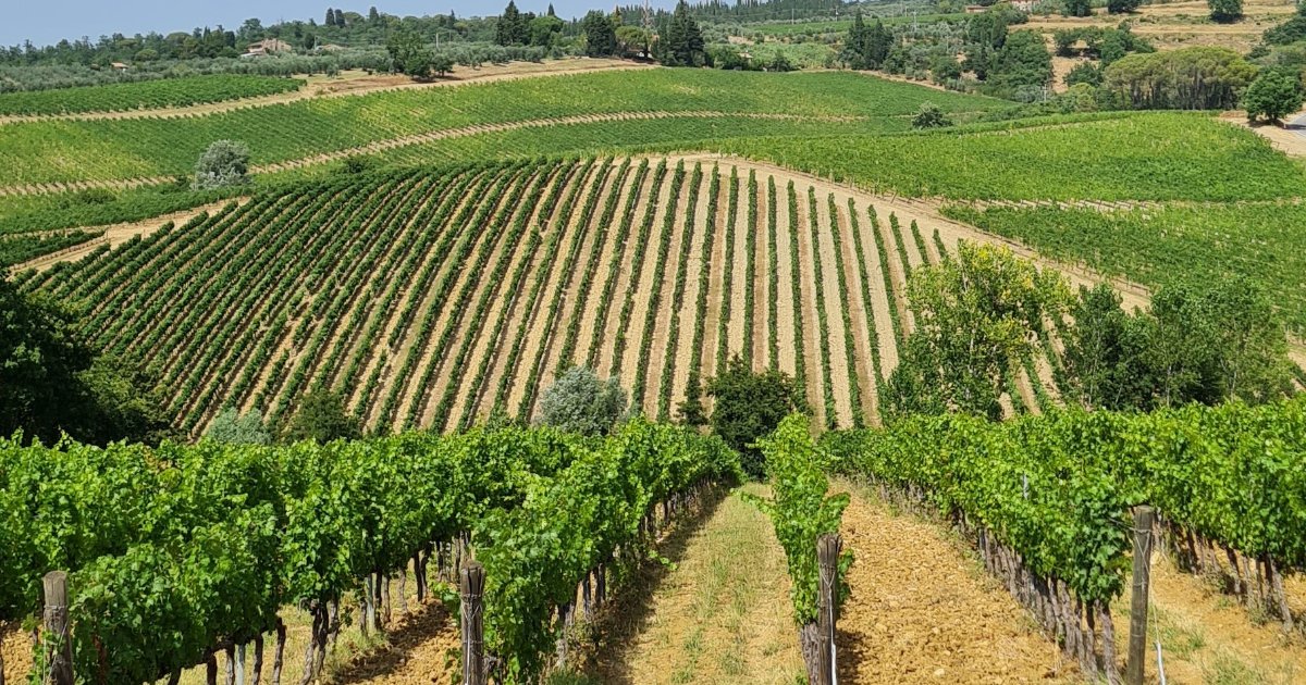 Bella Toscana!
Винно-историческая экскурсия по Тоскане