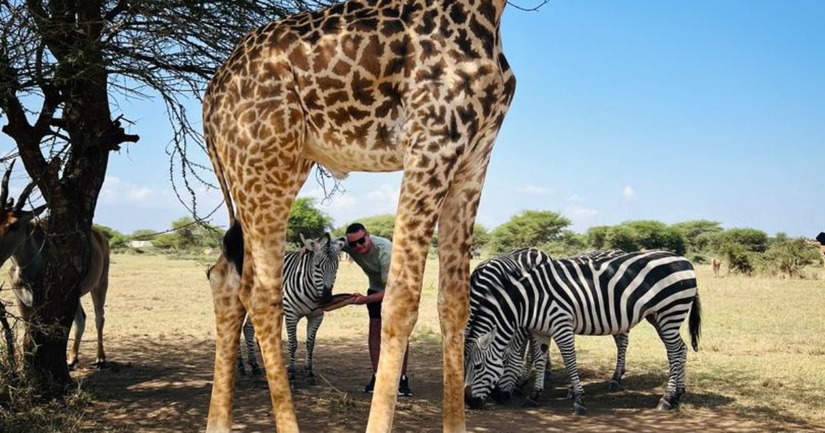 2 Days Ngorongoro Crater and Serval wildlife safari