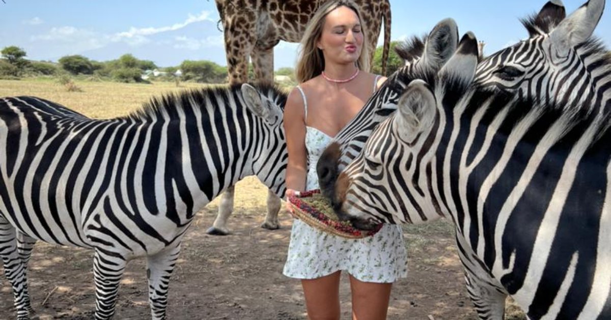 Classic Northern Tanzania Safari and serval Wildlife Experience, Танзания